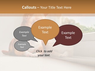 A Small Dog Is Looking Out Of A Window PowerPoint Template