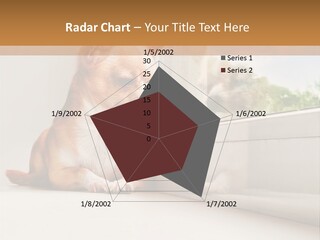 A Small Dog Is Looking Out Of A Window PowerPoint Template