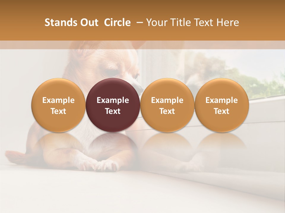 A Small Dog Is Looking Out Of A Window PowerPoint Template