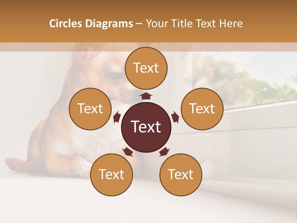 A Small Dog Is Looking Out Of A Window PowerPoint Template