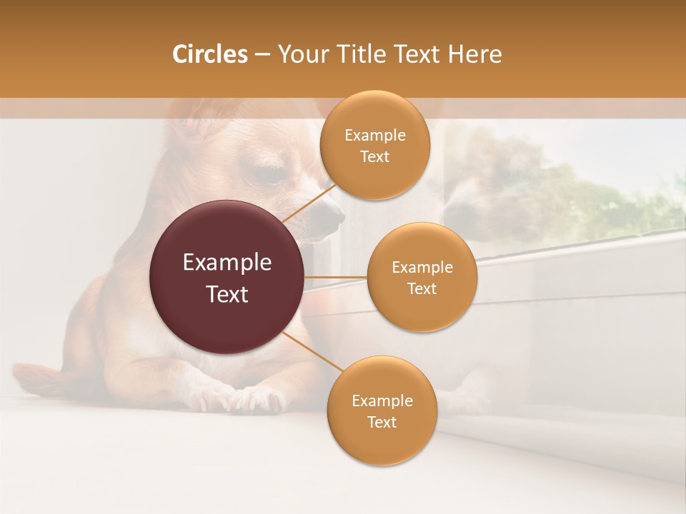 A Small Dog Is Looking Out Of A Window PowerPoint Template