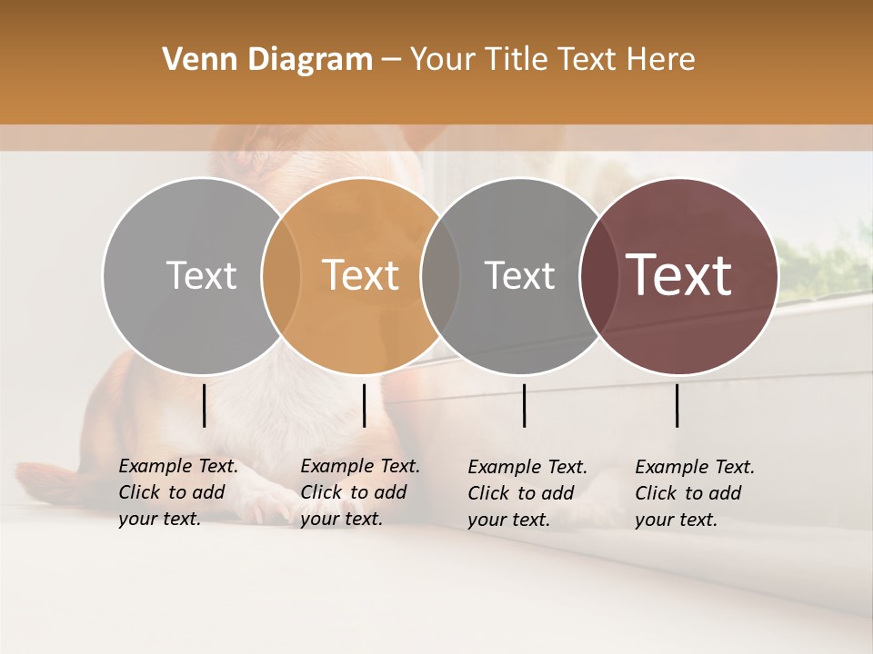 A Small Dog Is Looking Out Of A Window PowerPoint Template