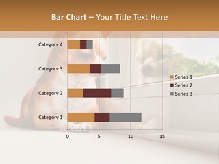 A Small Dog Is Looking Out Of A Window PowerPoint Template