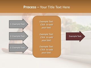 A Small Dog Is Looking Out Of A Window PowerPoint Template