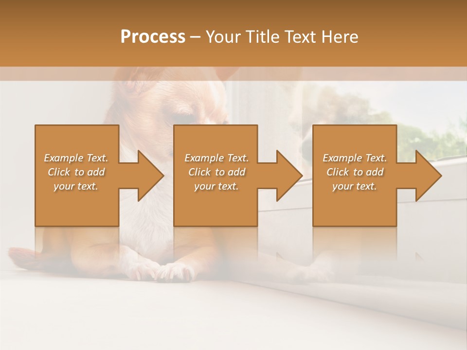 A Small Dog Is Looking Out Of A Window PowerPoint Template