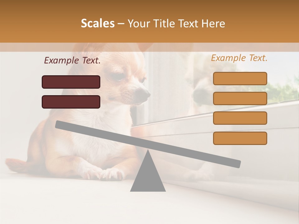 A Small Dog Is Looking Out Of A Window PowerPoint Template