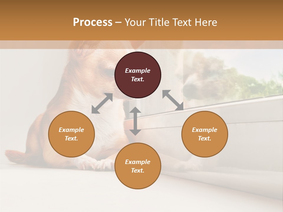 A Small Dog Is Looking Out Of A Window PowerPoint Template