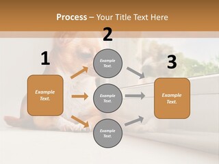 A Small Dog Is Looking Out Of A Window PowerPoint Template