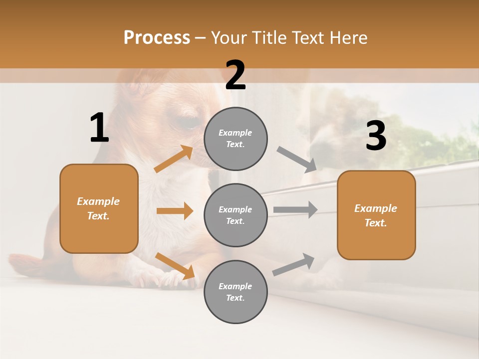 A Small Dog Is Looking Out Of A Window PowerPoint Template