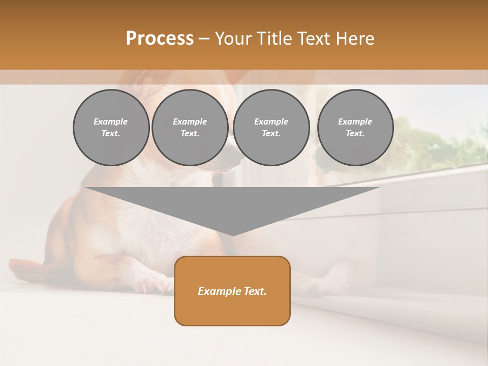 A Small Dog Is Looking Out Of A Window PowerPoint Template