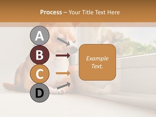 A Small Dog Is Looking Out Of A Window PowerPoint Template