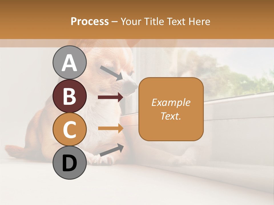 A Small Dog Is Looking Out Of A Window PowerPoint Template