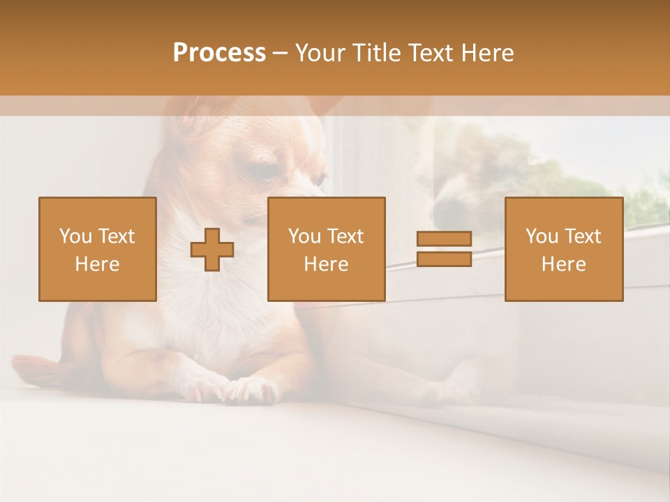 A Small Dog Is Looking Out Of A Window PowerPoint Template