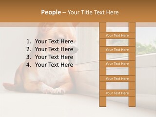 A Small Dog Is Looking Out Of A Window PowerPoint Template