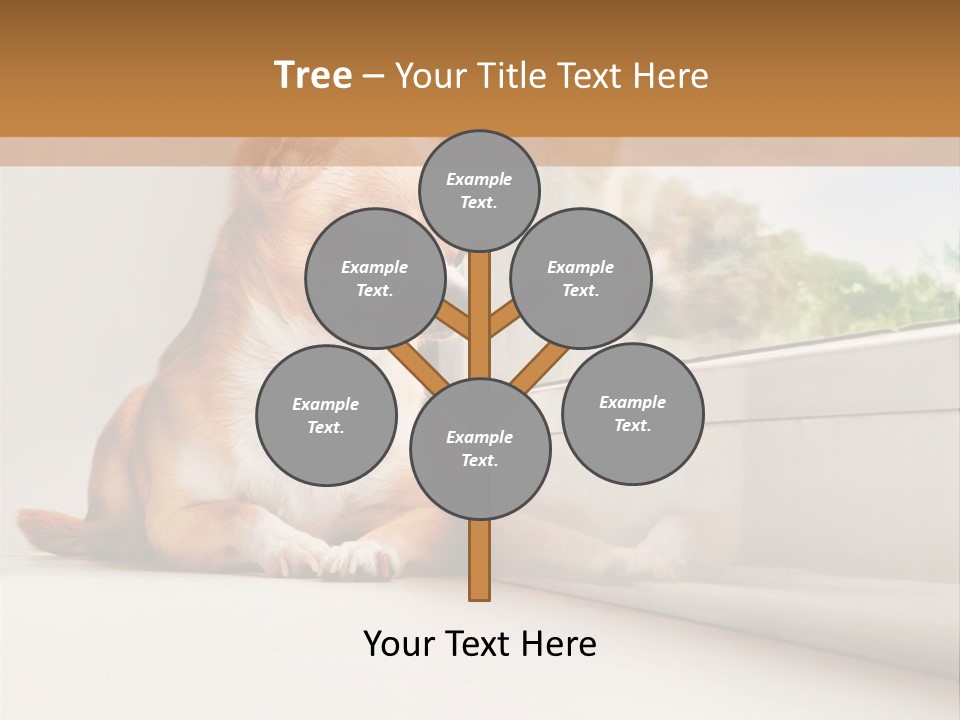 A Small Dog Is Looking Out Of A Window PowerPoint Template