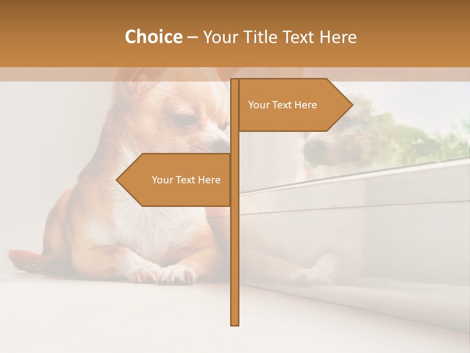 A Small Dog Is Looking Out Of A Window PowerPoint Template