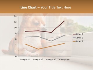 A Small Dog Is Looking Out Of A Window PowerPoint Template