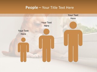 A Small Dog Is Looking Out Of A Window PowerPoint Template