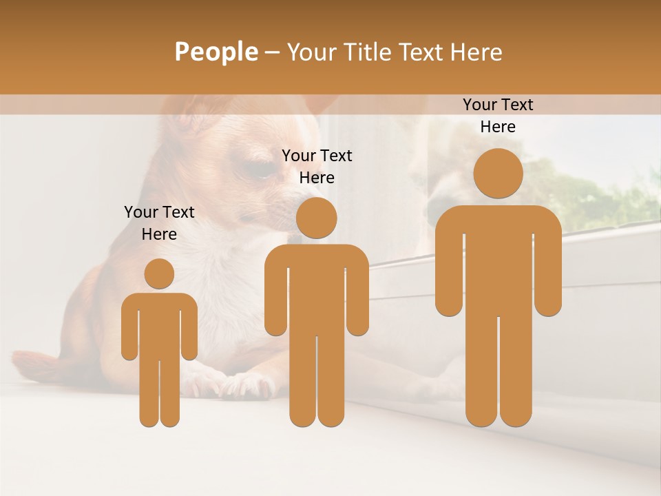 A Small Dog Is Looking Out Of A Window PowerPoint Template