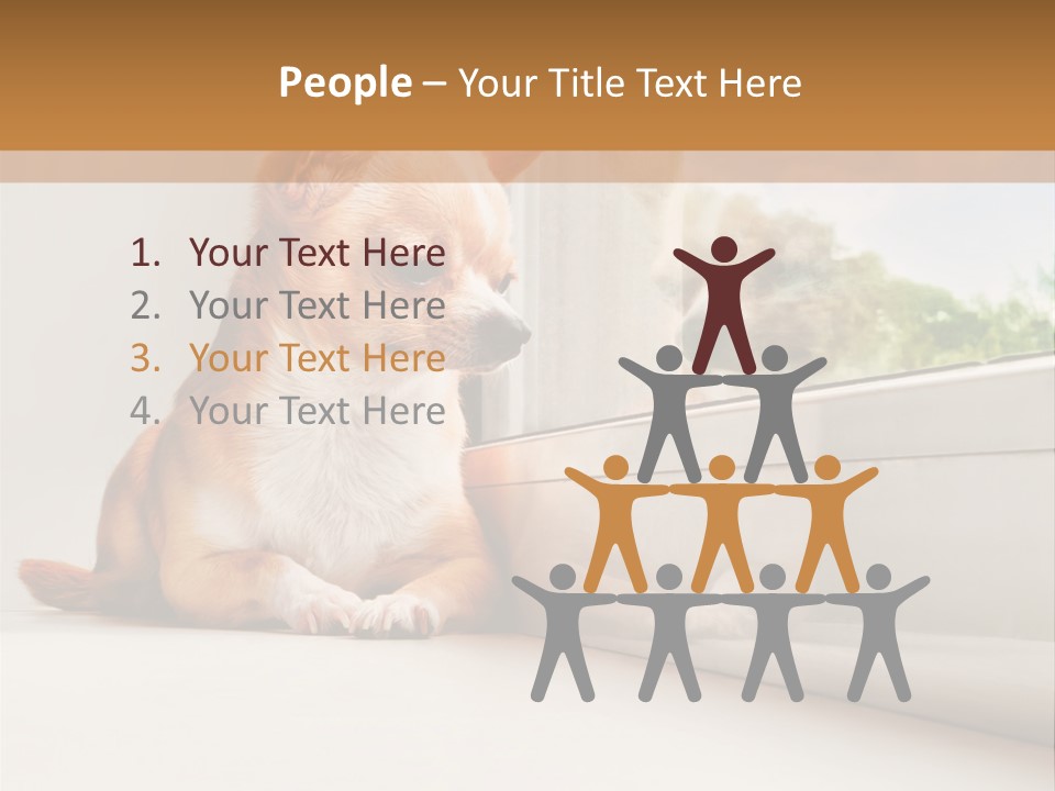 A Small Dog Is Looking Out Of A Window PowerPoint Template