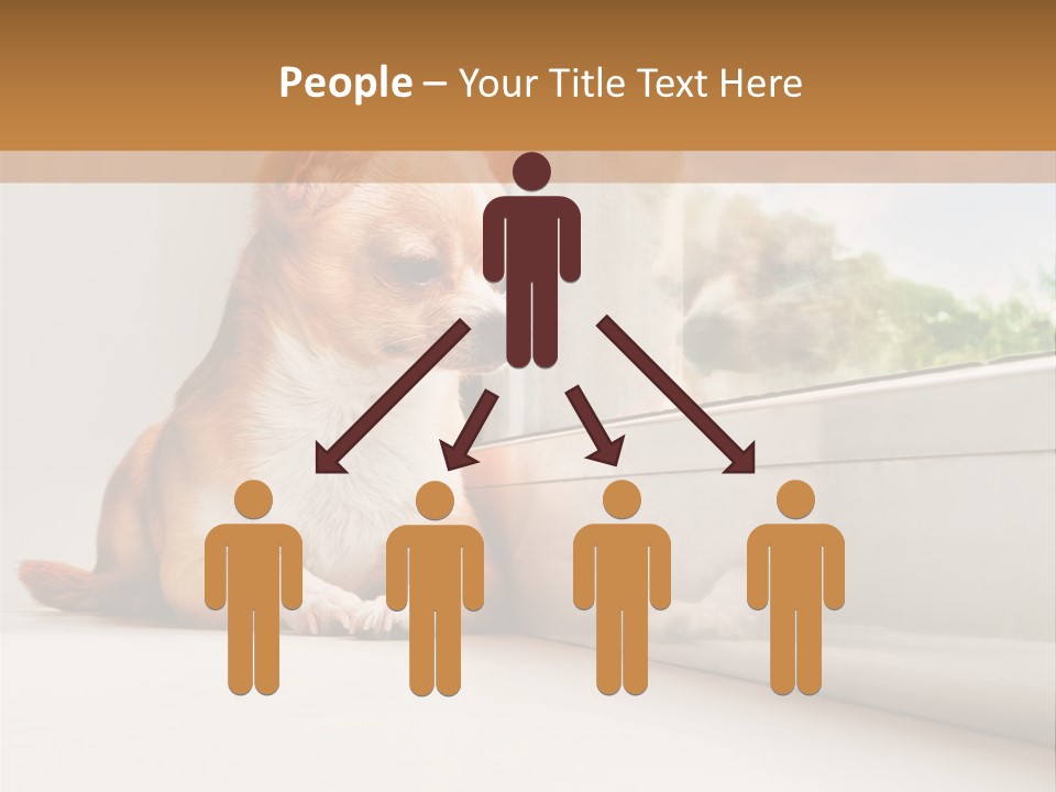 A Small Dog Is Looking Out Of A Window PowerPoint Template