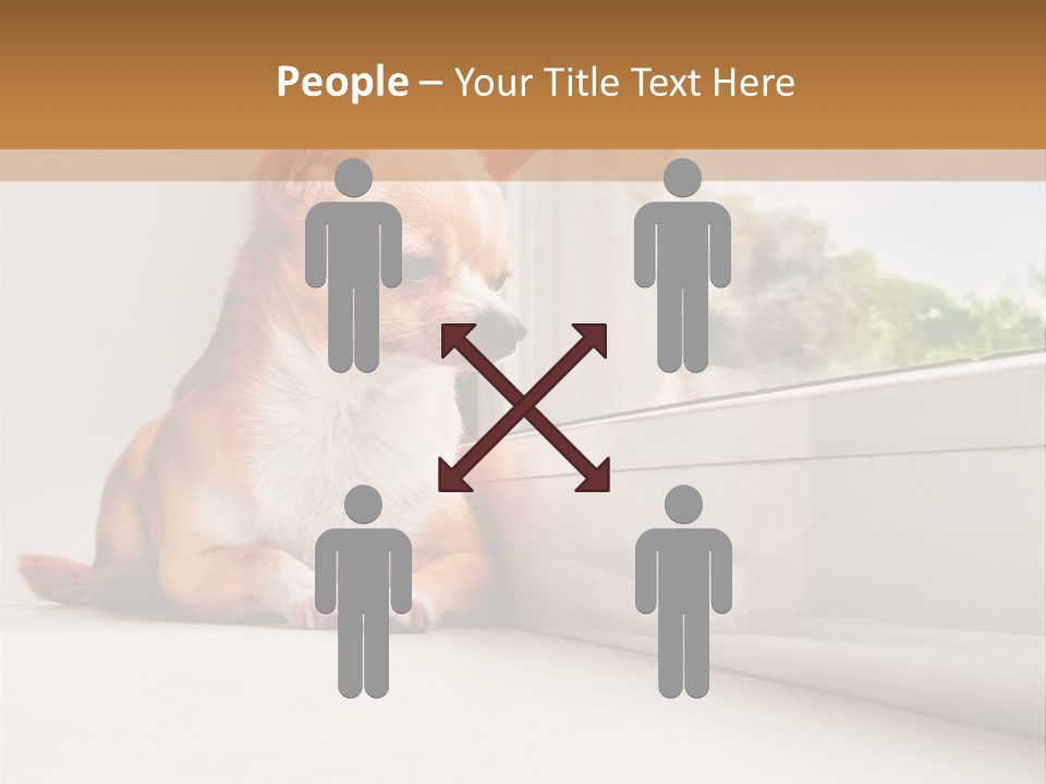 A Small Dog Is Looking Out Of A Window PowerPoint Template