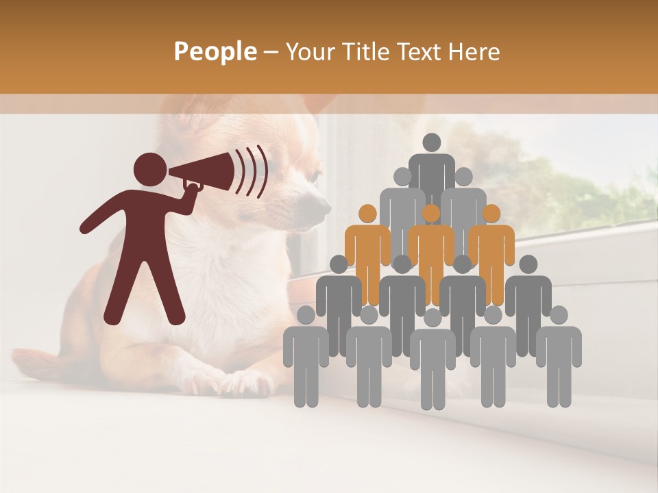 A Small Dog Is Looking Out Of A Window PowerPoint Template