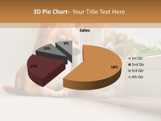 A Small Dog Is Looking Out Of A Window PowerPoint Template