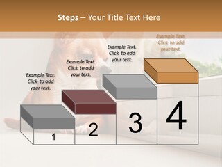 A Small Dog Is Looking Out Of A Window PowerPoint Template