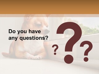 A Small Dog Is Looking Out Of A Window PowerPoint Template