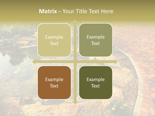 A Small Pond Surrounded By Rocks And Plants PowerPoint Template