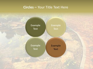 A Small Pond Surrounded By Rocks And Plants PowerPoint Template