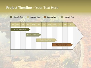 A Small Pond Surrounded By Rocks And Plants PowerPoint Template