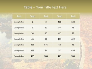 A Small Pond Surrounded By Rocks And Plants PowerPoint Template