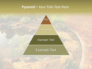 A Small Pond Surrounded By Rocks And Plants PowerPoint Template