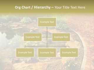 A Small Pond Surrounded By Rocks And Plants PowerPoint Template