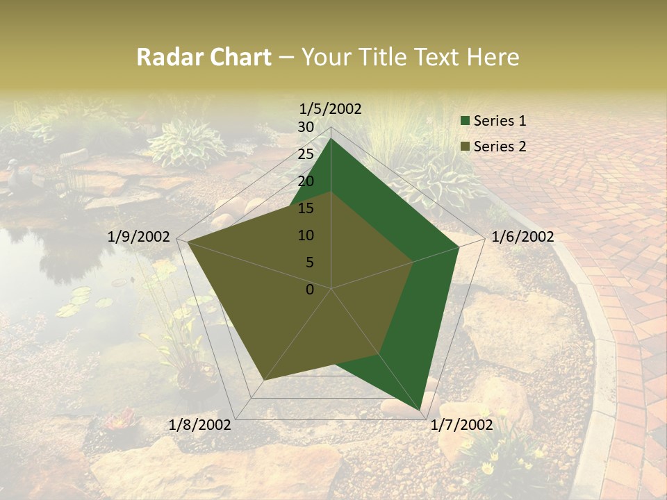 A Small Pond Surrounded By Rocks And Plants PowerPoint Template