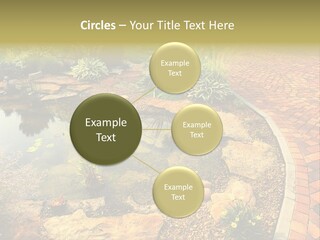 A Small Pond Surrounded By Rocks And Plants PowerPoint Template