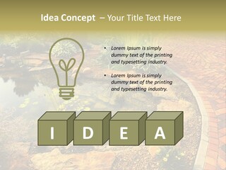 A Small Pond Surrounded By Rocks And Plants PowerPoint Template