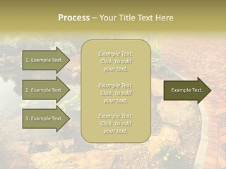 A Small Pond Surrounded By Rocks And Plants PowerPoint Template