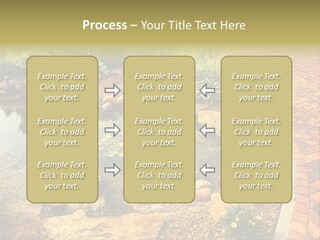 A Small Pond Surrounded By Rocks And Plants PowerPoint Template