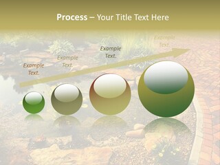 A Small Pond Surrounded By Rocks And Plants PowerPoint Template