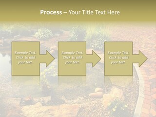 A Small Pond Surrounded By Rocks And Plants PowerPoint Template