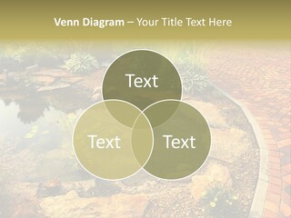 A Small Pond Surrounded By Rocks And Plants PowerPoint Template