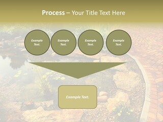 A Small Pond Surrounded By Rocks And Plants PowerPoint Template