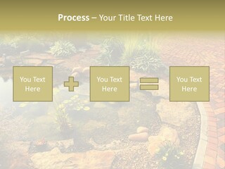 A Small Pond Surrounded By Rocks And Plants PowerPoint Template