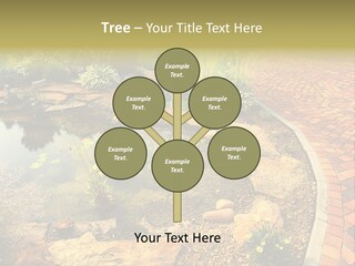 A Small Pond Surrounded By Rocks And Plants PowerPoint Template