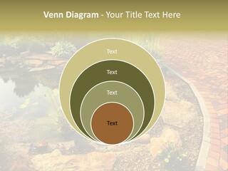 A Small Pond Surrounded By Rocks And Plants PowerPoint Template