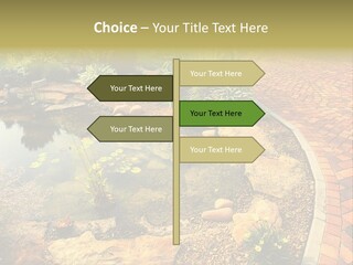 A Small Pond Surrounded By Rocks And Plants PowerPoint Template