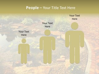 A Small Pond Surrounded By Rocks And Plants PowerPoint Template